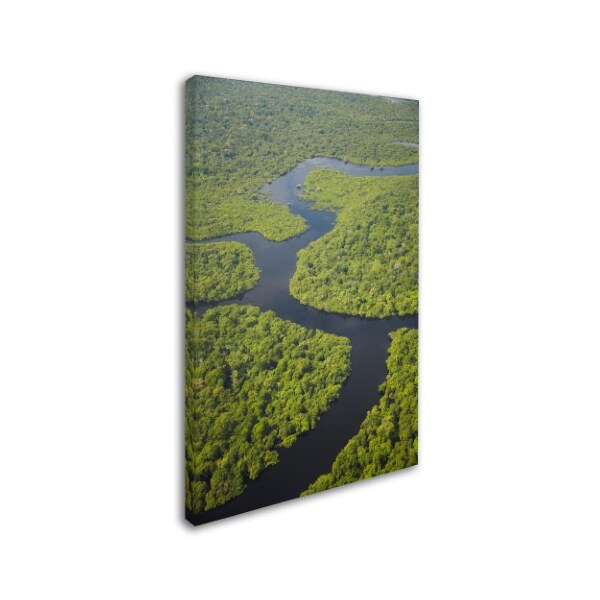 Robert Harding Picture Library 'Forest Scene 5' Canvas Art,12x19